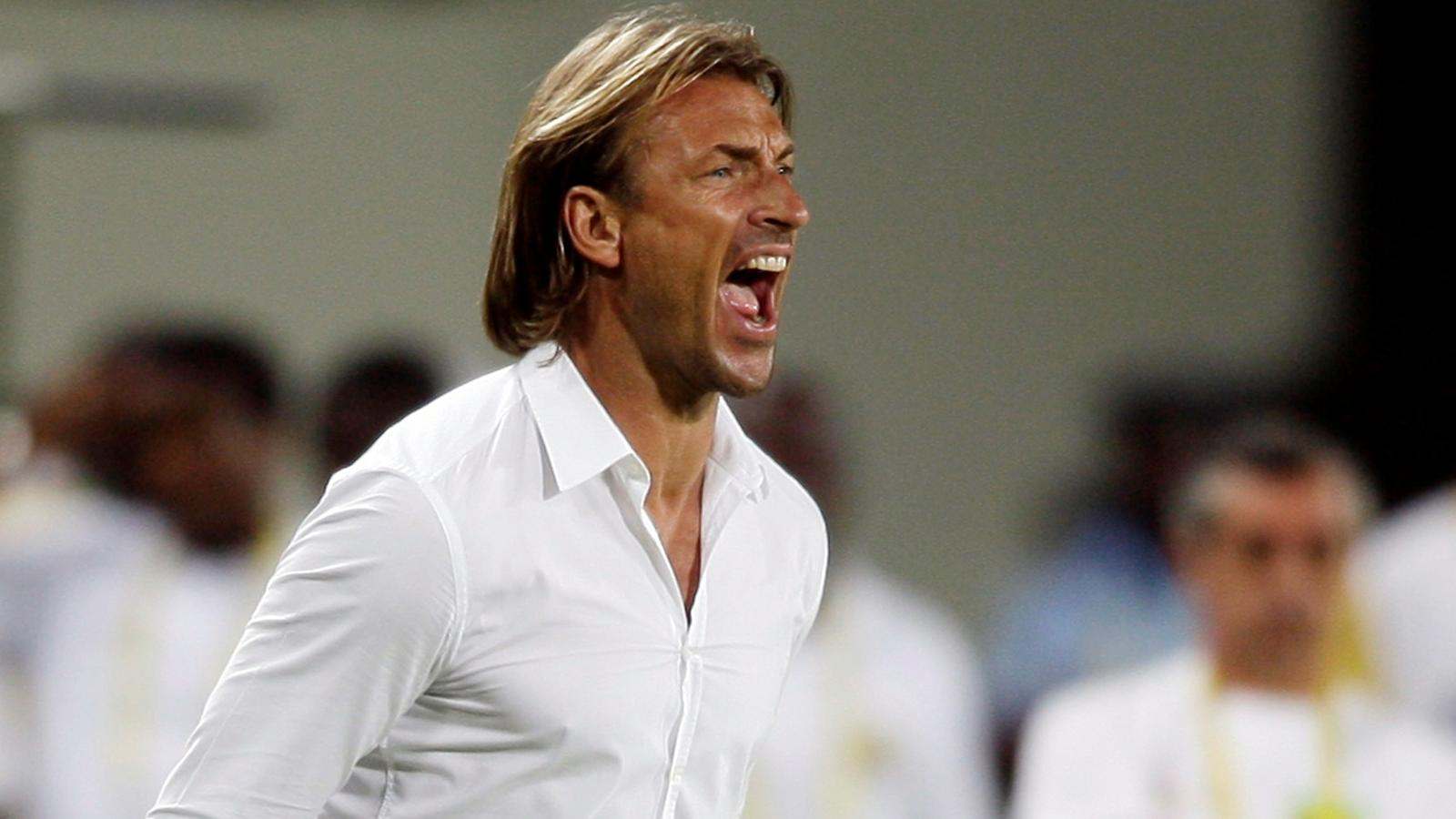 Herve Renard On FeedYeti.com