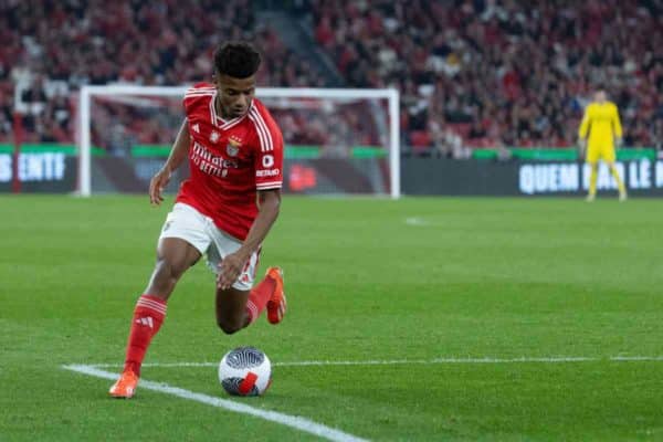 Naples vise un joueur offensif du Benfica